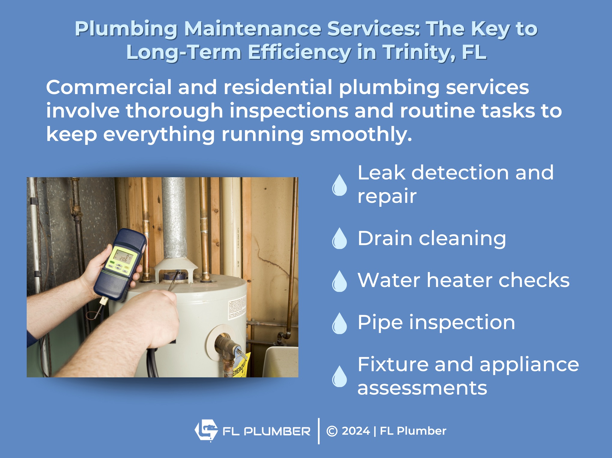 Why Regular Plumbing Maintenance Services Matter in Trinity, FL