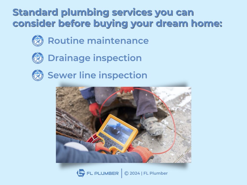 Callout 3: Plumbers doing sewer inspection with camera- 3 plumbing services to consider before buying a home