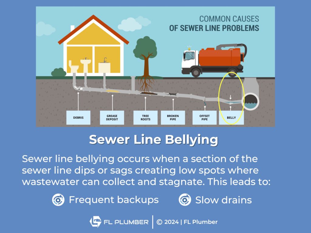 Callout 3: Infographic of common causes of sewer line problems