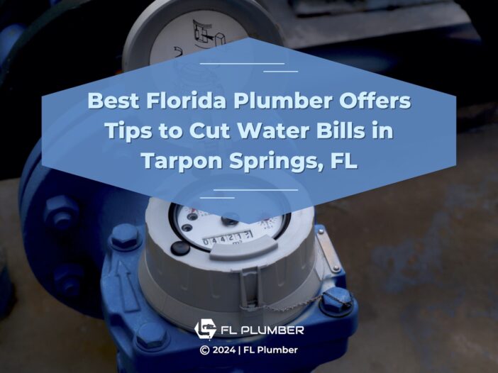 Featured: Water meter- Best Florida Plumber Offers tips to cut water bills in Tarpon Springs