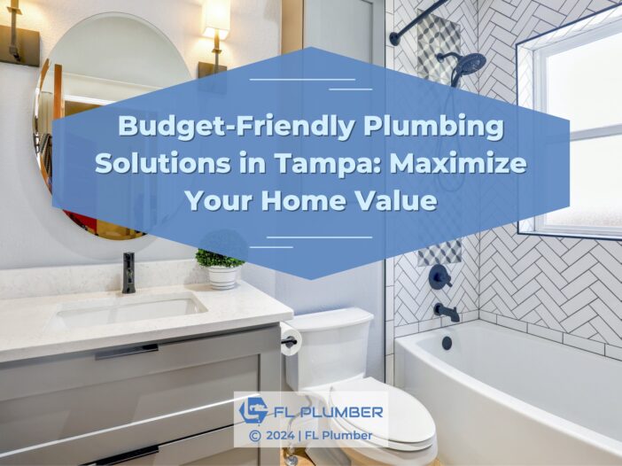 A budget-friendly and modern bathroom. Text: "Budget-Friendly Plumbing Solutions in Tampa: Maximize Your Home Value."